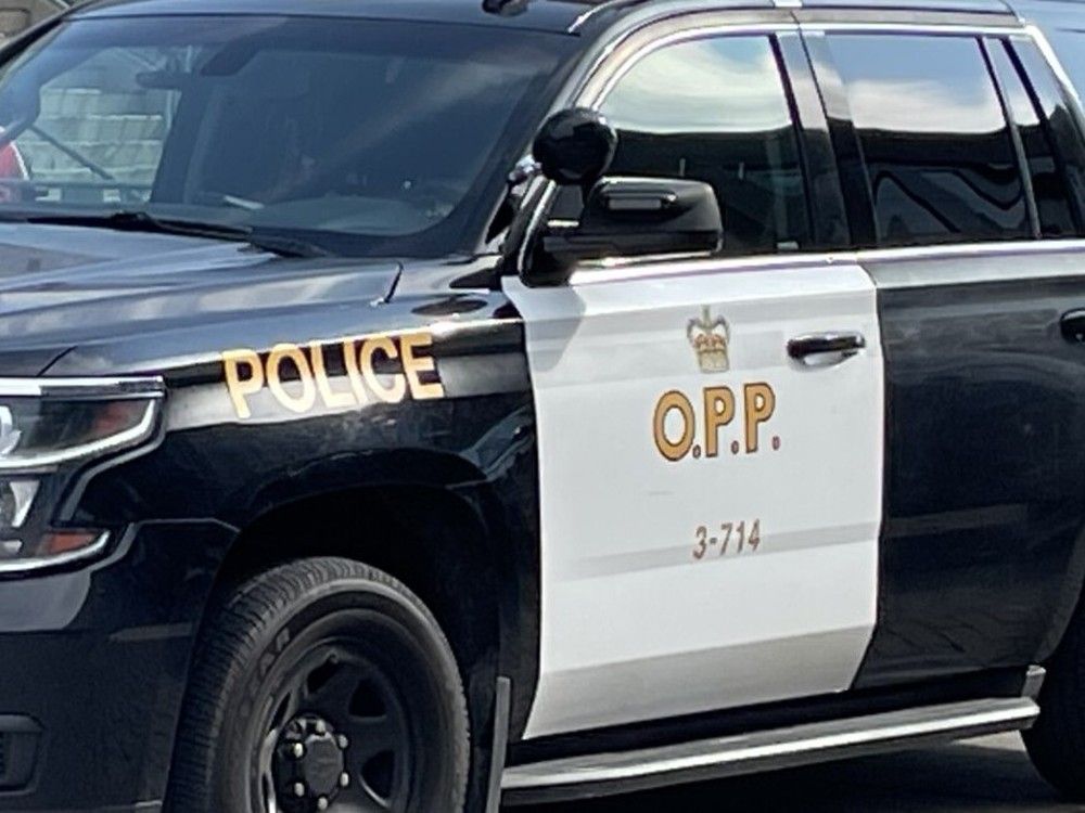 Woman, 39, and three horses killed in collision near Renfrew
