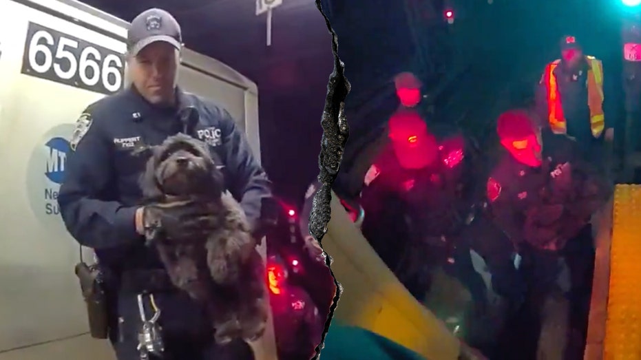 Dramatic video shows NYPD officers rescuing a missing dog named Moose from beneath a Manhattan subway train