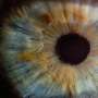 Eye scans reveal clues to aging and heart disease risk, study finds