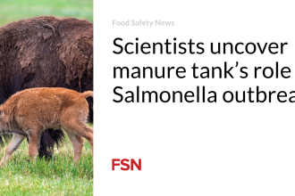 Scientists uncover manure tank’s role in Salmonella outbreak