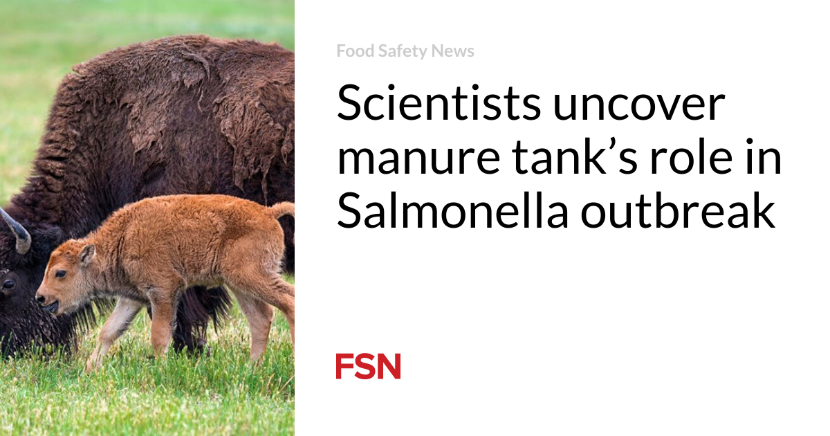 Scientists uncover manure tank’s role in Salmonella outbreak