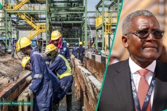 Check out latest job vacancies at Dangote Group, SSCE minimum requirements