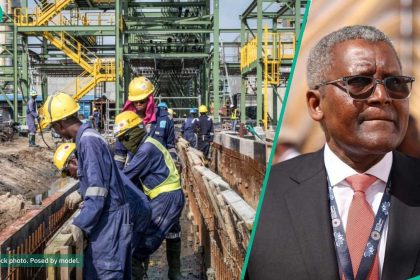 Check out latest job vacancies at Dangote Group, SSCE minimum requirements