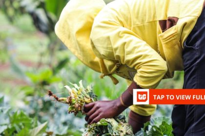 Kenya’s Farm to Feed raises $1.5 million to give imperfect farm produce a market