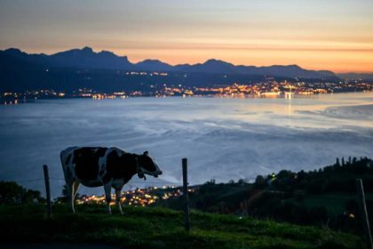 Swiss queasy over chlorinated chicken fears in US tariff deal