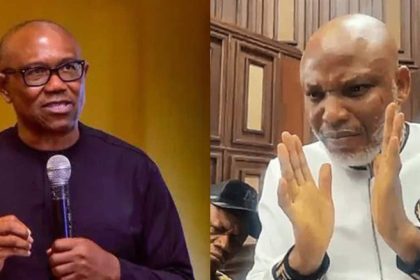 “This Could Make Things Worse”