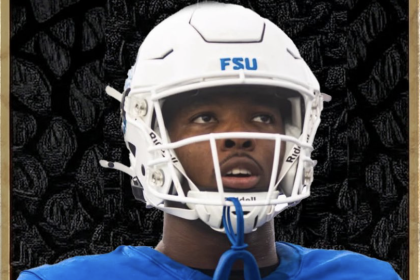 NFL Draft Diamonds Scouting Report: Shawn Robinson Jr., DE, Fayetteville State