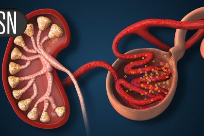 Meta-Analyses Argue for Broader Use of SGLT2 Inhibitors in Chronic Kidney Disease