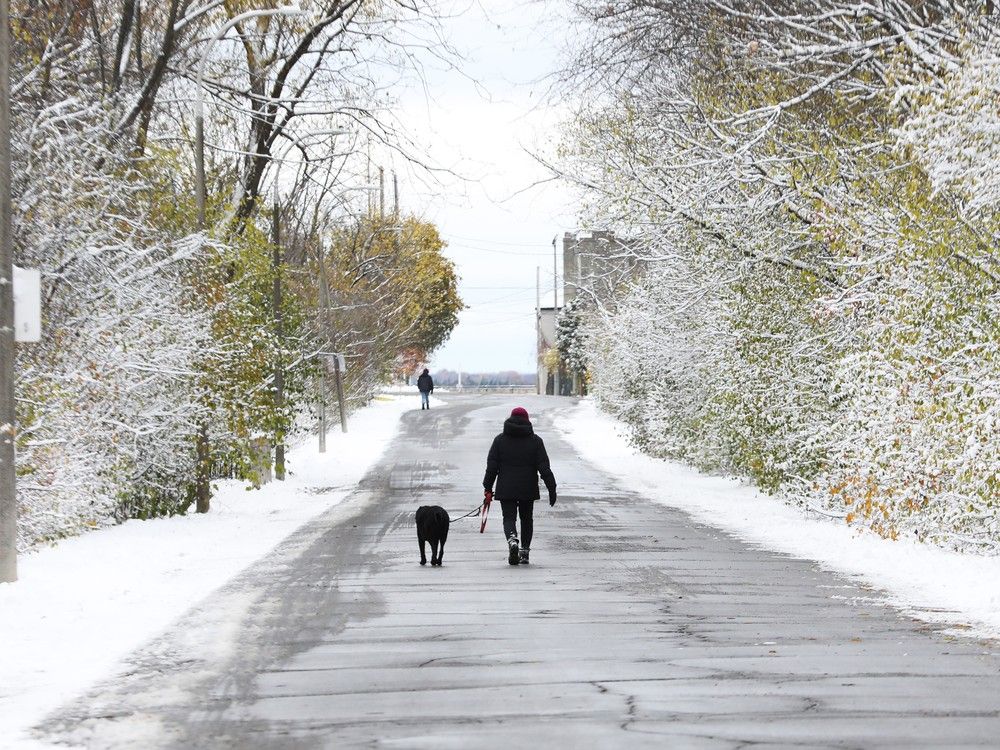 Ottawa’s first snow not expected to stick around, climatologist says