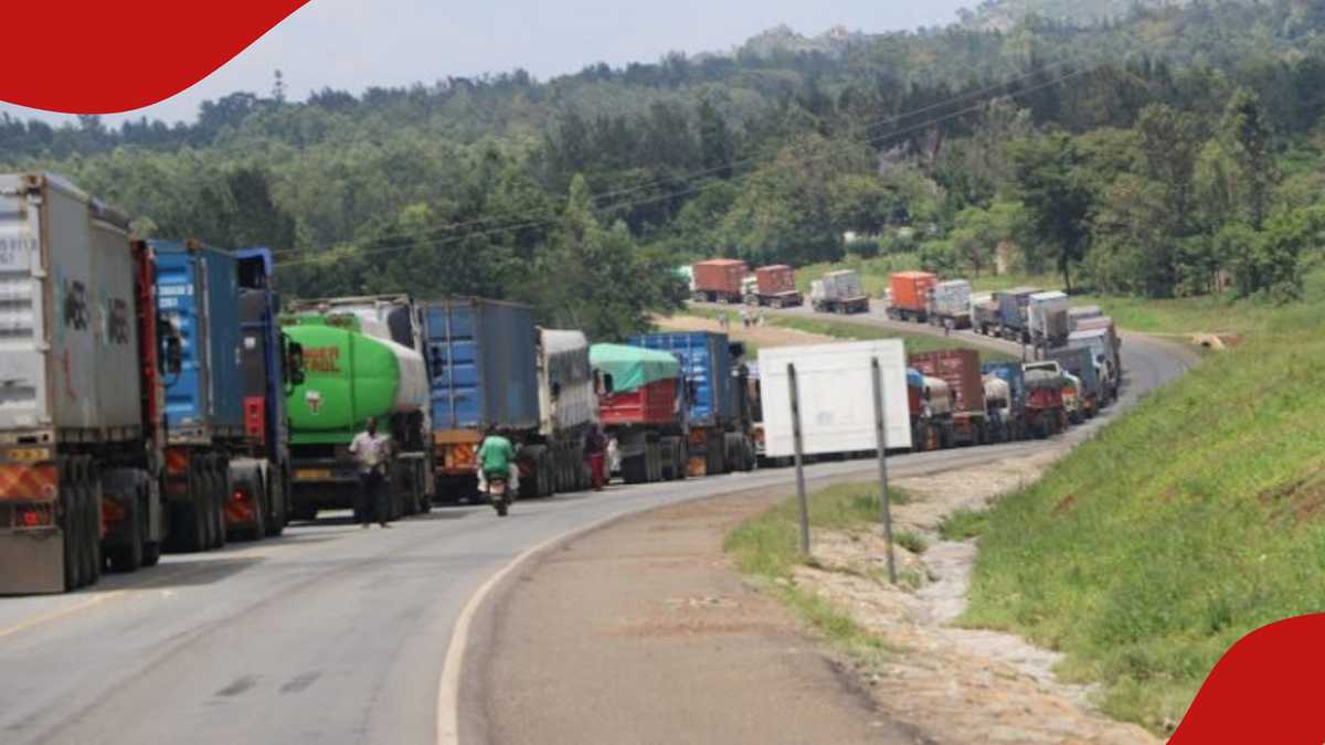 SBM Bank announces auction of used lorries and trucks, bids start from KSh 770k