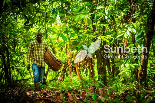 Innovate & Grow: How Sunbeth is shaping the future of Agri-Trade