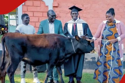 Egerton University graduate touched after proud parents gift him cow on his graduation