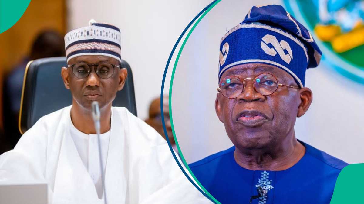Nigeria security: Ribadu gets important order from Tinubu