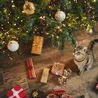Cats ‘won’t topple your Christmas tree’ when you make vital decoration change
