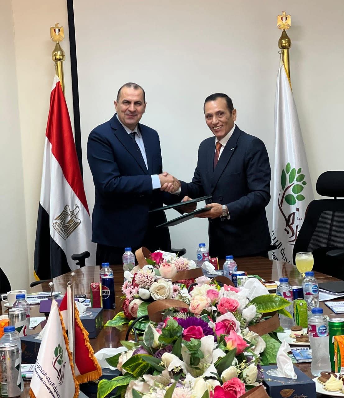 EGP 25bn project launched to supply electricity to one million feddans in West Minya Plain