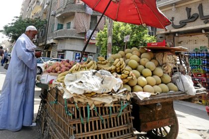 Agriculture Minister: 2025 has witnessed tangible successes in food security