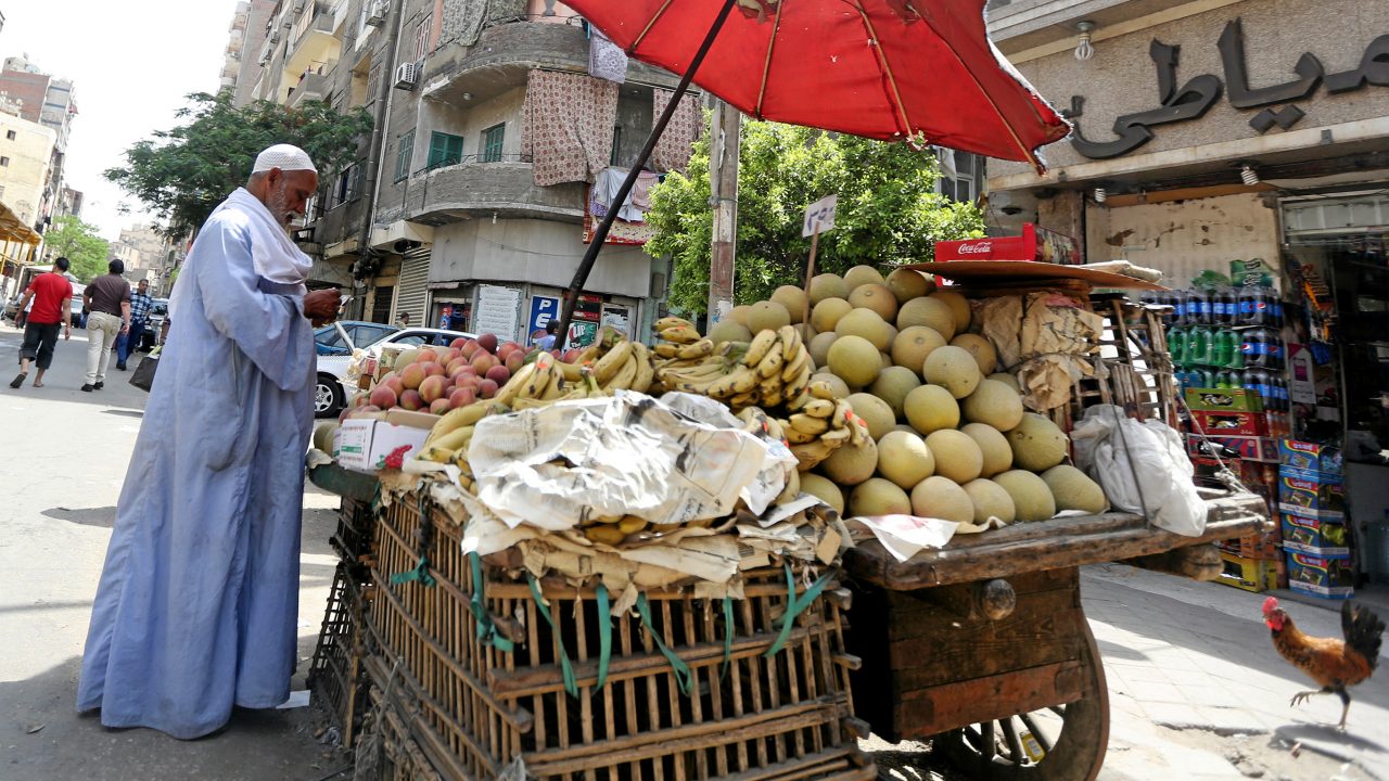 Agriculture Minister: 2025 has witnessed tangible successes in food security