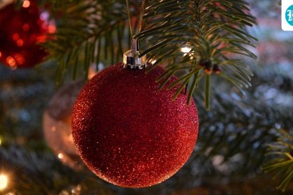 Is your Christmas tree impacting WiFi? 5 festive habits that slow down internet
