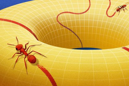 Behold the Manifold, the Concept that Changed How Mathematicians View Space