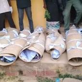 Reps Order Probe Into Alleged Killing Of Women, Teenager By Soldiers In Adamawa