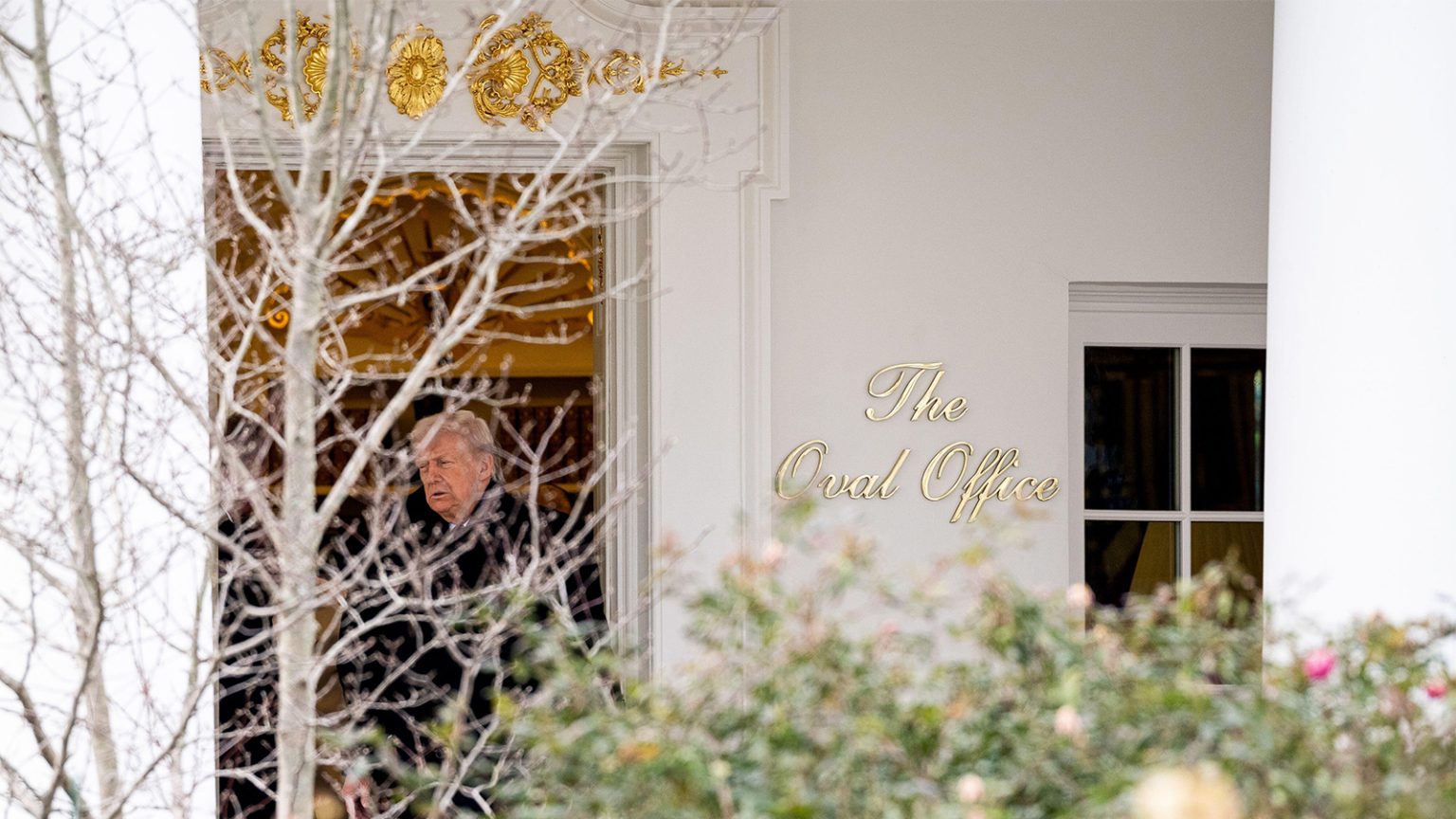 The Year in Trump’s Health