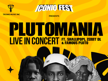Access Bank DettyFusion to Elevate Fan Experience at 2025 Plutomania Live in Concert