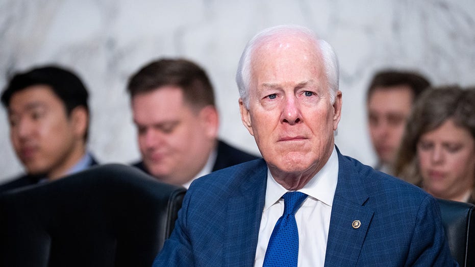 Senate Republicans launch investigation into Biden immigration programs after DC National Guard shooting