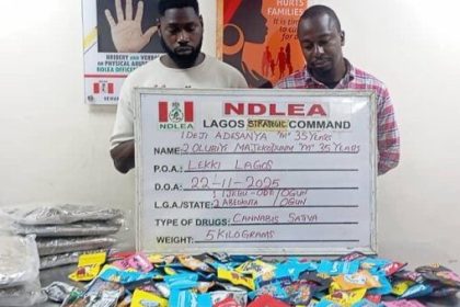 NDLEA uncovers Canadian Loud disguised as Christmas cookies, arrests distributors in Lagos