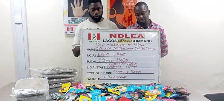 NDLEA uncovers Canadian Loud disguised as Christmas cookies, arrests distributors in Lagos