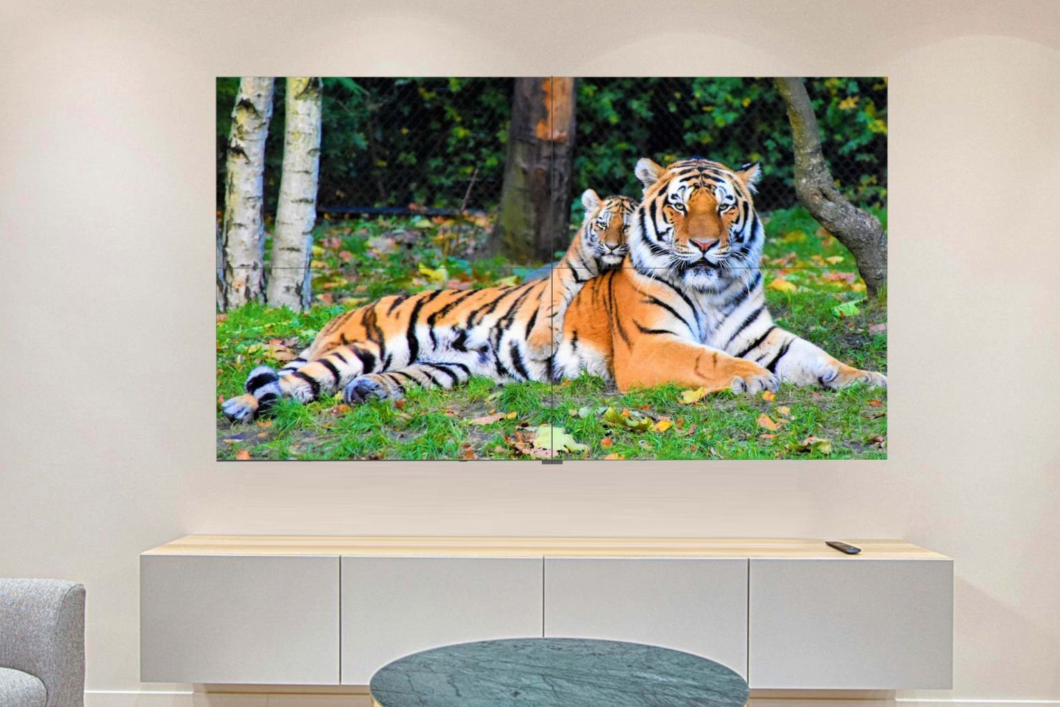 This 130-inch OLED TV sticks to a wall with suction tech
