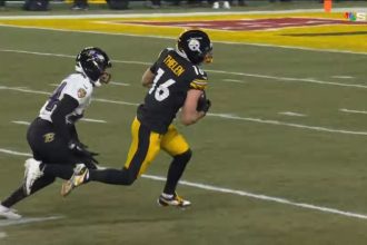 ‘Really Good Fit:’ Thielen Hoped Steelers Would Claim Him After Asking Vikings For Release