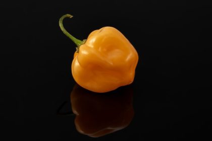 Homemade food caused botulism cases in Italy