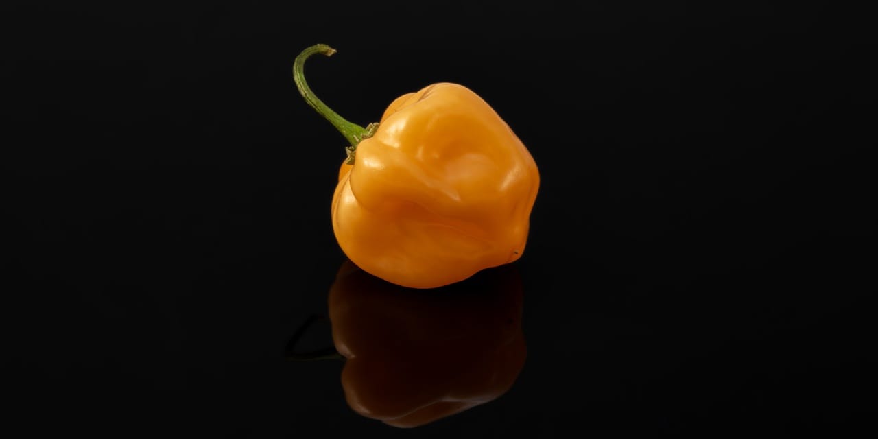 Homemade food caused botulism cases in Italy