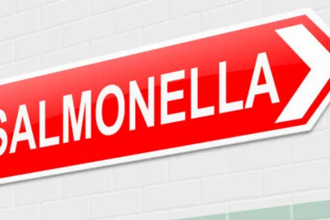 English germ reports updated; E. coli study findings