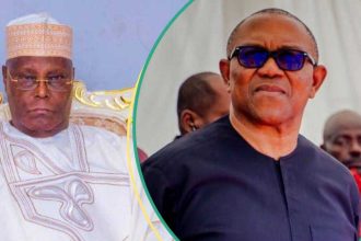 ADC chieftain affirms Peter Obi as presidential choice for 2027, calls for Atiku to step aside