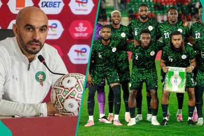 Walid Regragui reveals 3 Super Eagles stars who scare Morocco, including Alex Iwobi
