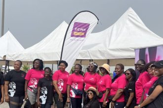 Mentoring in Motion: The 2025 WISCAR Mentoring Walk Experience