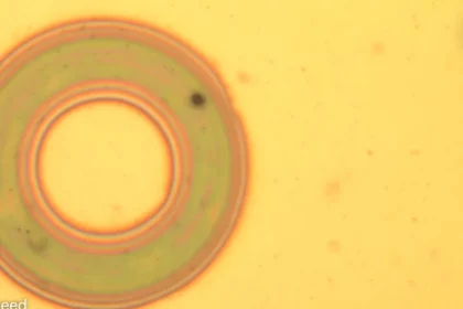 Scientists develop nanophotonic material that changes color, texture, and shape on demand