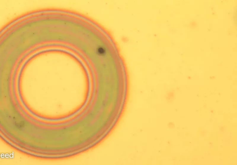 Scientists develop nanophotonic material that changes color, texture, and shape on demand