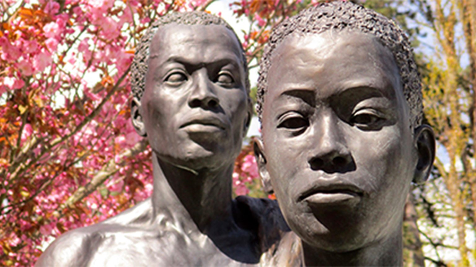 The True Miracle of Ivermectin