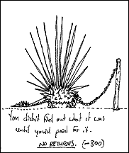 1000 Blank White Cards