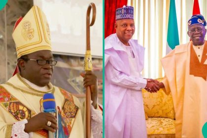 2027 election: Detailed list of Nigerians tipped as possible next VP of Tinubu, replacing Shettima