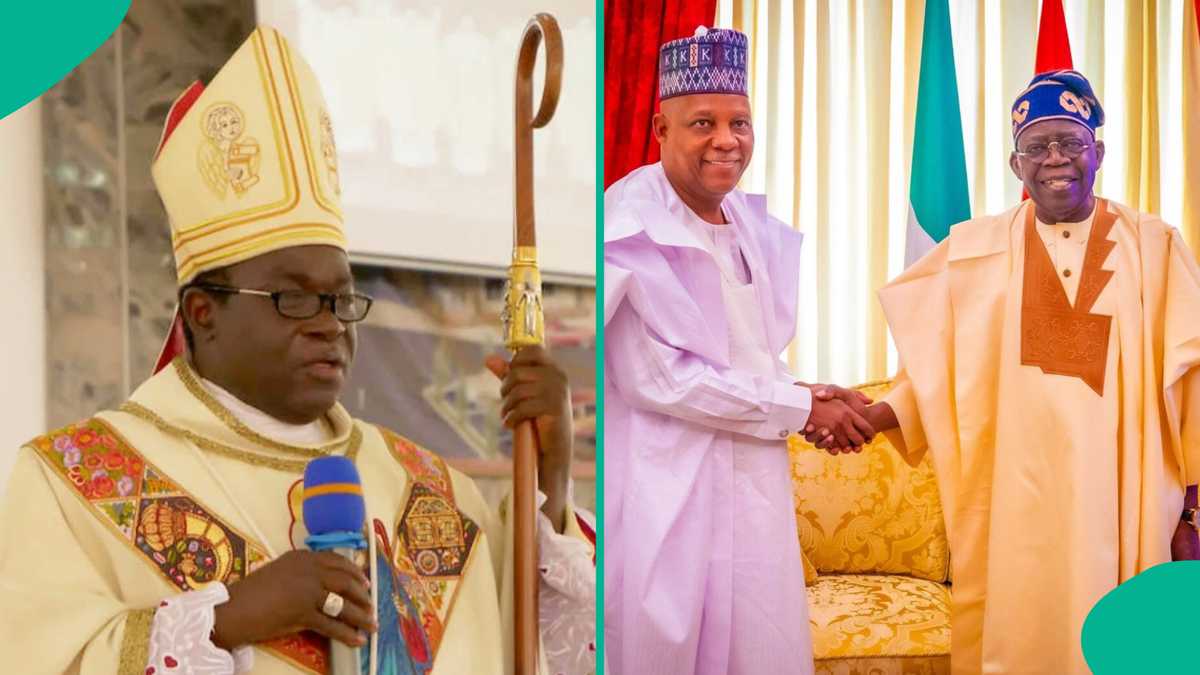 2027 election: Detailed list of Nigerians tipped as possible next VP of Tinubu, replacing Shettima