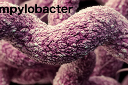 Scientists get grant to study Campylobacter