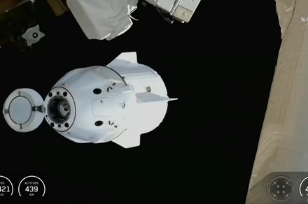 How to watch SpaceX Crew-11 splash down a month early