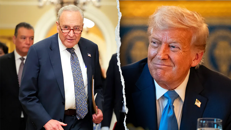 Trump argues Schumer ‘made a mistake’ amid Dem leader’s party infighting