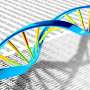 DNA testing of colorectal polyps improves insight into hereditary risks