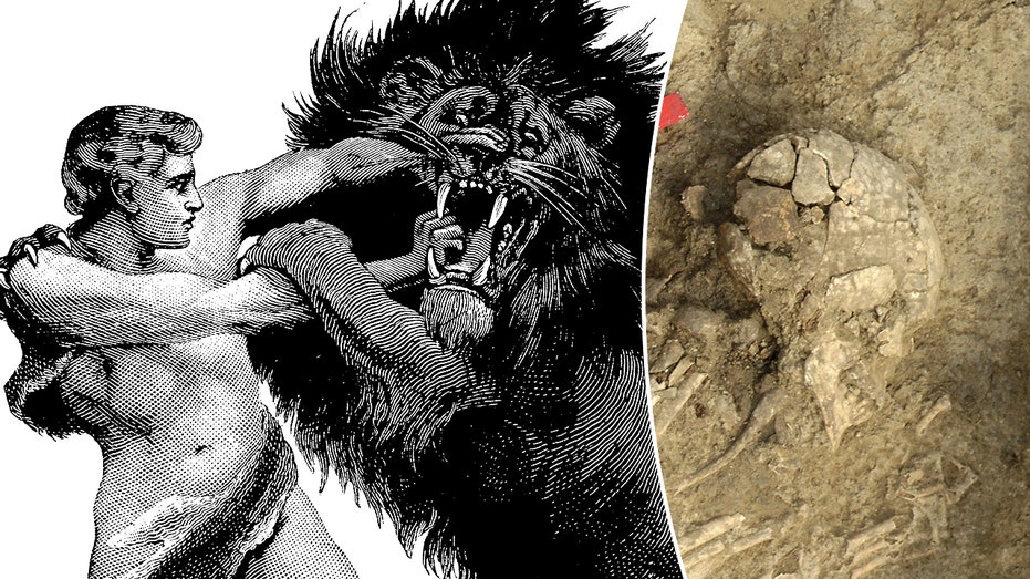 Ancient man survived brutal lion attack, suffered lifelong damage: ‘Extremely rare’