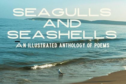 BN Book Review: Seagulls And Seashells by Oluwatobi Aluko | Review by Roseline Mgbodichinma