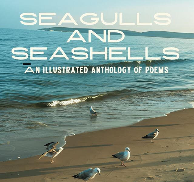 BN Book Review: Seagulls And Seashells by Oluwatobi Aluko | Review by Roseline Mgbodichinma
